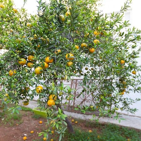 Laila'S Cozy Garden House & Studio Larnaca Dış mekan fotoğraf