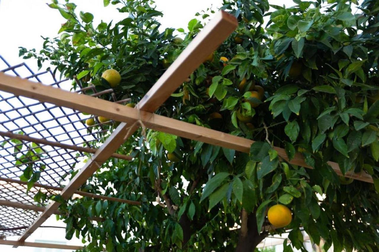 Laila'S Cozy Garden House & Studio Larnaca Dış mekan fotoğraf